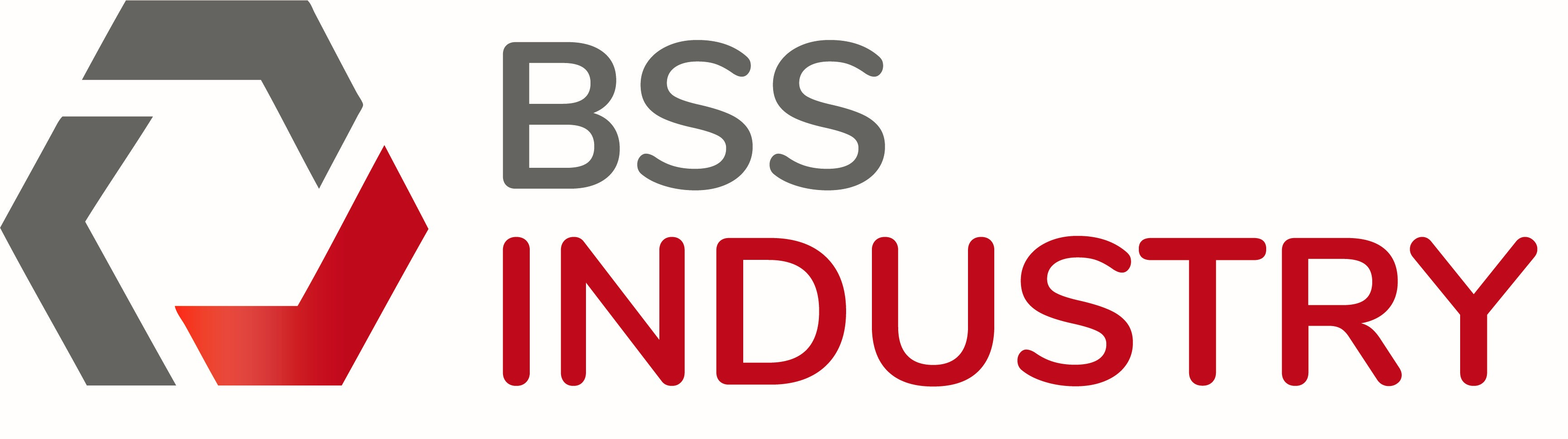 BSS Industry GmbH